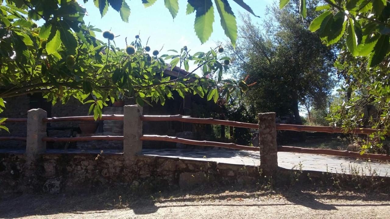 La Simona Casa Rural Perales del Puerto Extérieur photo