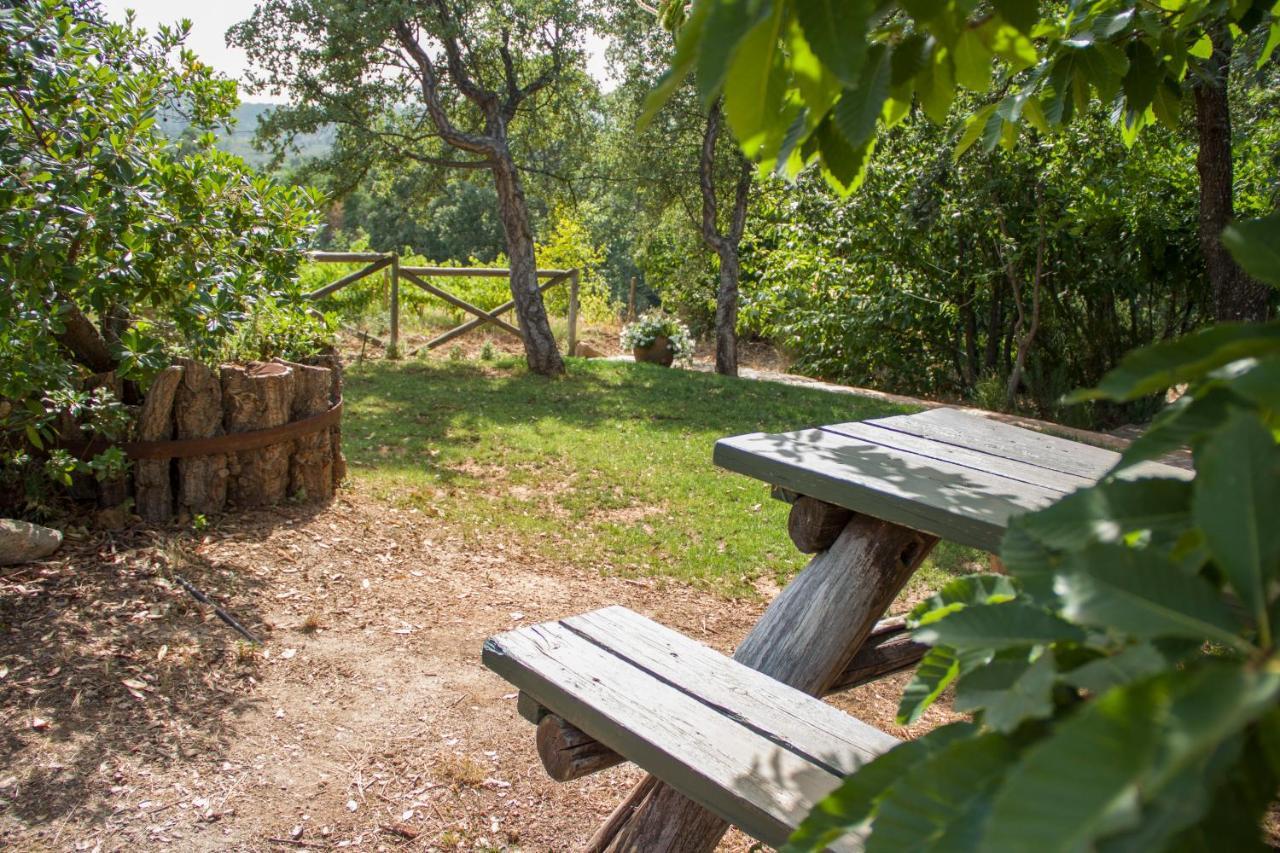 La Simona Casa Rural Perales del Puerto Extérieur photo