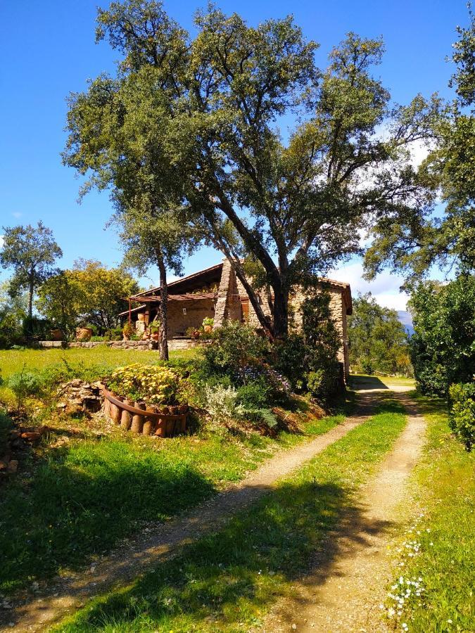 La Simona Casa Rural Perales del Puerto Extérieur photo