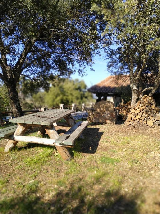 La Simona Casa Rural Perales del Puerto Extérieur photo